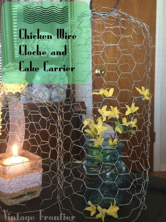 DIY Chicken Wire Cloche and Cake Carrier