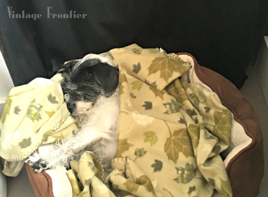 The newest member of the Vintage Frontier Family. 